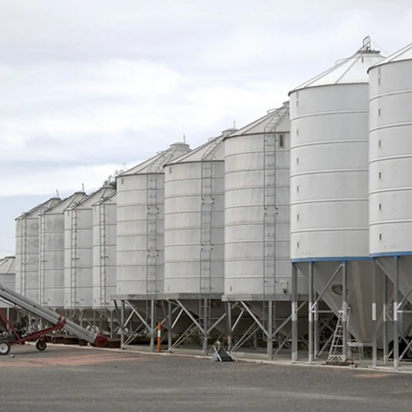 Servicios especializados en la industria de grado alimenticio